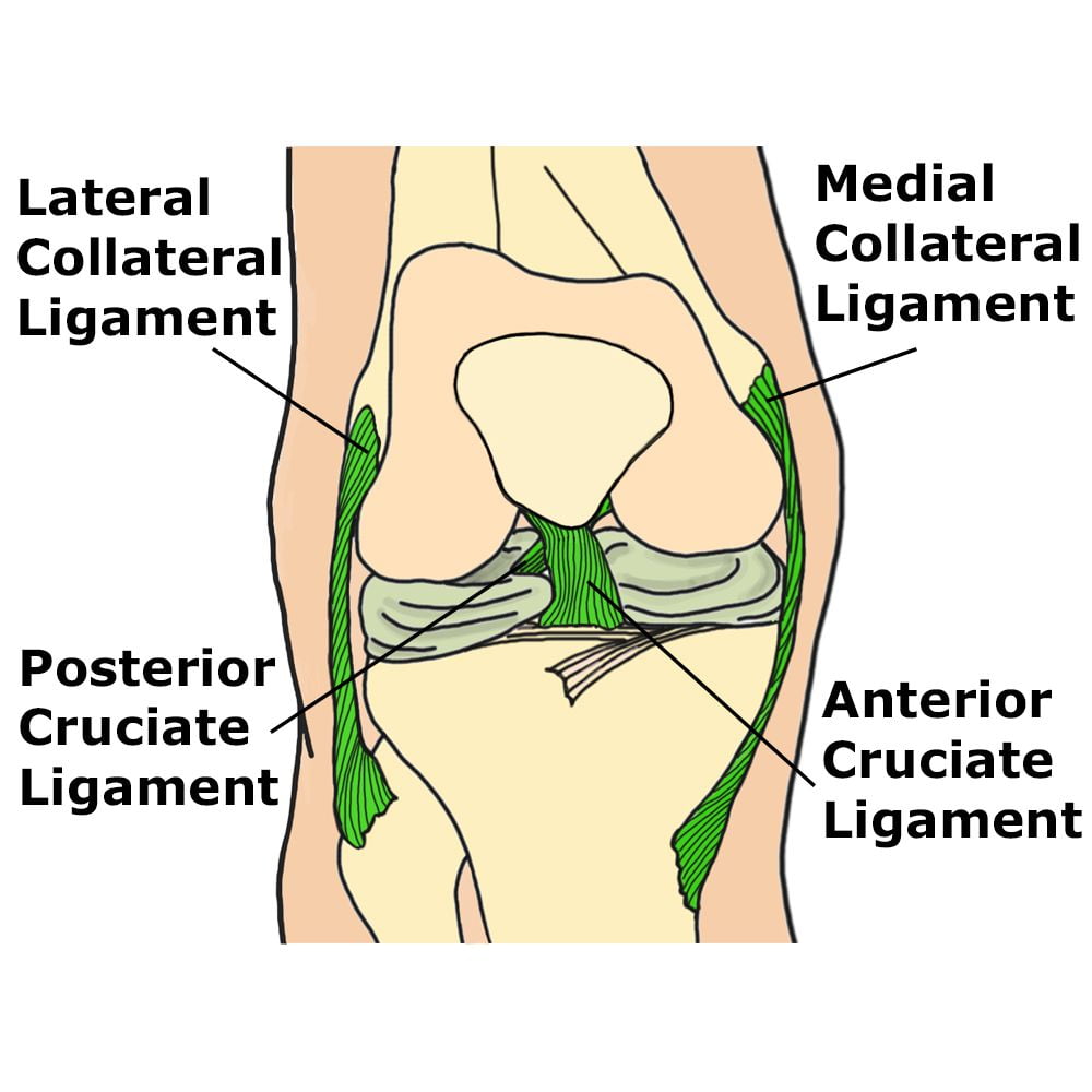 Lesione Legamento Crociato Anteriore - Prof. Nicola Portinaro - Ortopedico