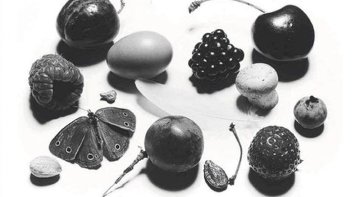 Charity Dinner fondazione Ariel 2017